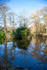 Spiegelung im Herbst