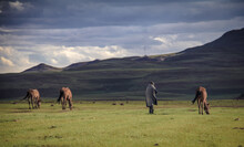 A Herdsman Wearing A Basotho Blanket Watches His Horses High In The Mountains Of Lesotho