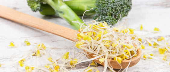 Broccoli sprouts and fresh vegetable containing natural vitamins and minerals. Healthy lifestyles and nutrition