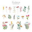 © wulano - beautiful floral garden watercolor collection