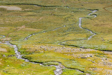 Meandering Streams In The High Country