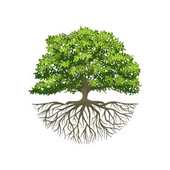 Tree of Life or Tree and roots vector with round shape.