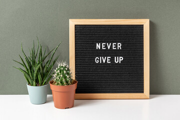 Wall Mural - Never give up. Motivational quote on letter board, cactus, succulent flower on white table. Concept inspirational quote of the day. Front view.