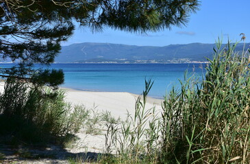 Beach with pine trees at famous Rias Baixas Region. Cee, Coruña, Galicia, Spain.