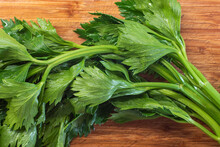 Fresh Green Wet Celery Leafs On A Wooden Kitchen Board Close Up Shot