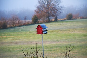 Wall Mural - Birdhouse in a Field