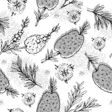 Seamless Pattern With Branches With Leaves And Flowers Of Tea Tree . Detailed Hand-drawn Sketches, Vector Botanical Illustration.