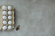 © Foodlovers - Eggs in an egg container and a feather on a gray background