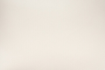 Poster - White leather texture luxury background