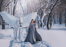 Fantasy Woman Elf Goddess Walk With Mythical White Horse Pegasus With White Wings In Winter Forest. Long Medieval In Dress, Grey Cape. Silver Diadem Tiara. Fairy Tale Snow Queen. Girl Elf Princess.