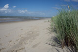 Fototapeta Morze - dunes on the beach in summer
