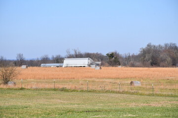 Wall Mural - Hay Field