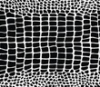 Crocodile seamless pattern with black