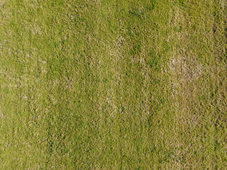 Wall Mural - Aerial top view of grassland