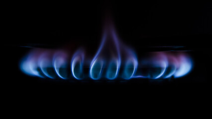 Wall Mural - Closeup of the blue gas flame, isolated on a black background