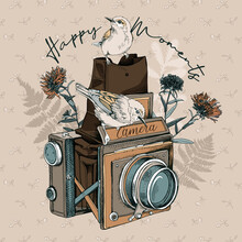 Vintage Camera And Birds With Herbarium Wildflowers, Cornflowers, Herbs Flowers And Leaves Flowers And Leaves. T-shirt Composition, Hand Drawn Vector Illustration.
