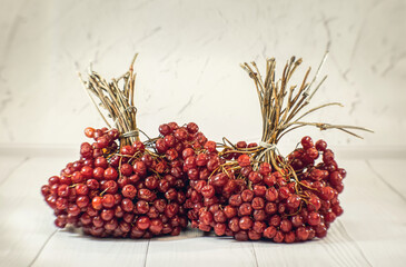 Poster - Bunch of ripe red viburnum berries. Winter berry