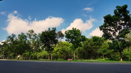 road in the forest