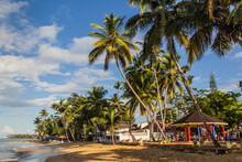 Beach In Las Terrenas, Dominican Republic