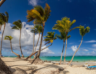 Wall Mural - Palms at Bavaro beach, Dominican Republic