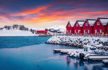 Canvas Print - Typical red wooden houses on the shore of Offersoystraumen fjord. Fantastic winter sunset on Vestvagoy island. Colorful evening view of Lofoten Islands, Norway, Europe.  Life over polar circle.