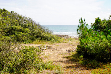 wild coast access to sea beach in atlantic ocean in France