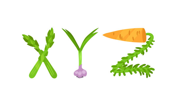 Veggie English Alphabet Letters Made from Fresh Vegetables Vector Set