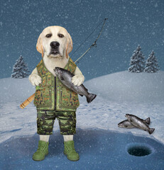 Canvas Print - A dog in fisherman uniform with a fishing rod behind his back holds a caught fish on a frozen lake in a winter forest.