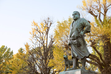 Wall Mural - Statue of Takamori Saigo and autumn yellow ginkgo trees at Ueno Park in Tokyo, Japan　秋の上野公園 西郷隆盛の銅像と黄葉したイチョウの木