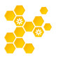 © Thanawat - Honeycomb with hexagon cells and little flower on white background vector illustration.