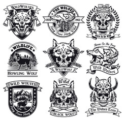 Poster - Grinning and howling wolves set. Monochrome design elements with animal in woods and human skull wearing skin and head. Power or wildlife concept for stamps and emblems templates