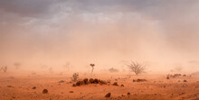 Dusty Sandstorm In Ethiopian Desert