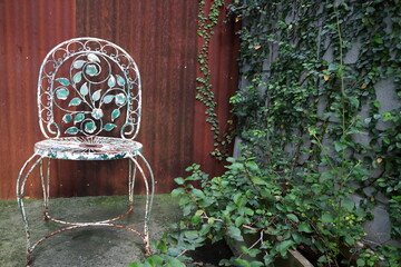 Old white chair on concrete floor and metal wall with green creeper plant on a gray brick Wall. Vintage style picture. Object and decoration concept.