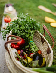 Basket with vegetables in the garden