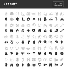 Poster - Set of simple icons of Anatomy