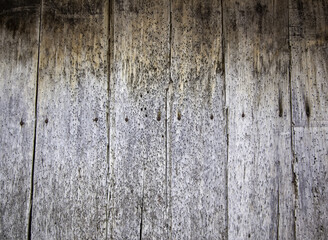 Wall Mural - Wood wall texture