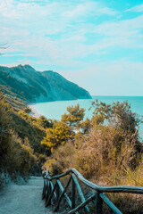 Poster - Beautiful shot of a tropical island surrounded by clear water on a sunny day