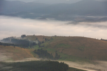 Wall Mural - beautiful sunrise in the carpathian mountains with fog and dramatic sky