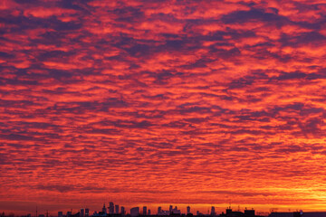 Wall Mural - the view of the sky with different states of nature, at dawn and at dusk with dramatic red clouds, s