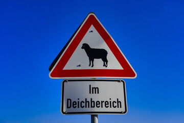 Poster - Schafe im Deichbereich