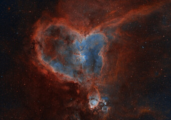 Wall Mural - the heart nebula