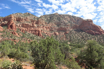 Wall Mural - View of red rock with desert landscape and blue sky with puffy white clouds at Sedona, Arizona