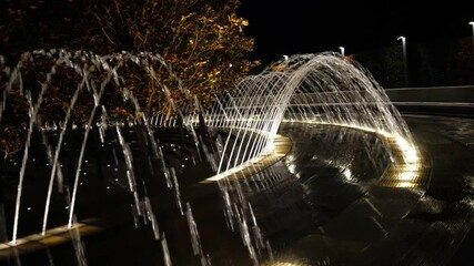 Wall Mural - fountain in the park