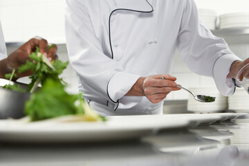 Chefs Preparing Salad