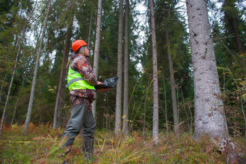 A forest engineer in a helmet and a vest works in the forest with a computer. The concept of computerized forest inventory.