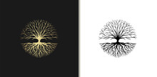 Root Or Tree, Tree Of Life Vector Symbol With A Circle Shape. Beautiful Illustration Of Isolated Root With Gold Color.	
