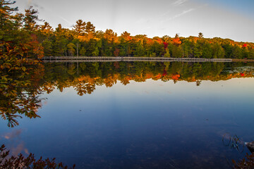 fall colors reflected in the waters of lost lake along boardwalk hiking trail in ludington state par