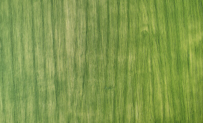 Poster - Green agricultural field