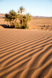 Jeux d'ombre sur les ondulations du sable dunaire