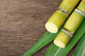 Wall Mural - Flat lay (top view) of fresh sugar cane with water droplets on wood background.